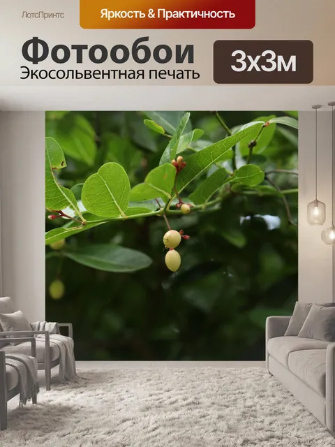 Фотообои Дерево