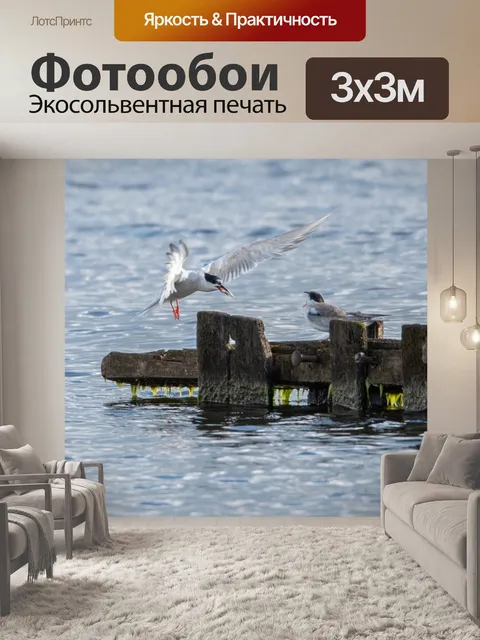 Фотообои Птицы