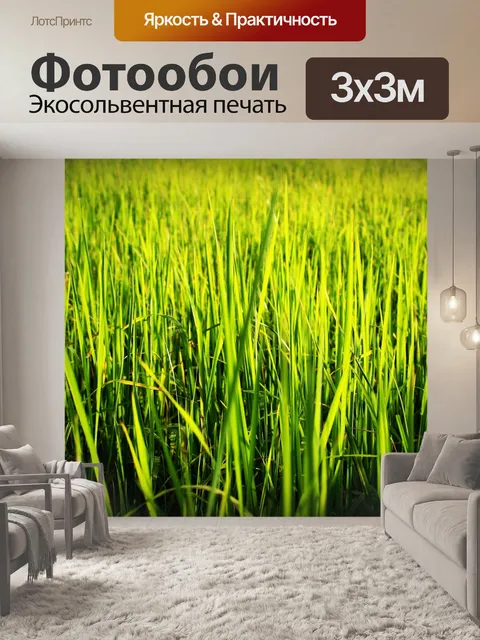 Фотообои Зеленое рисовое поле