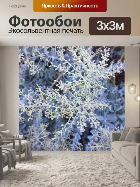 Фотообои Цветы