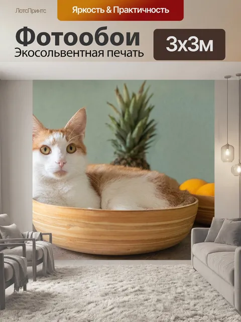 Фотообои Кошки