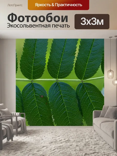 Фотообои Листья