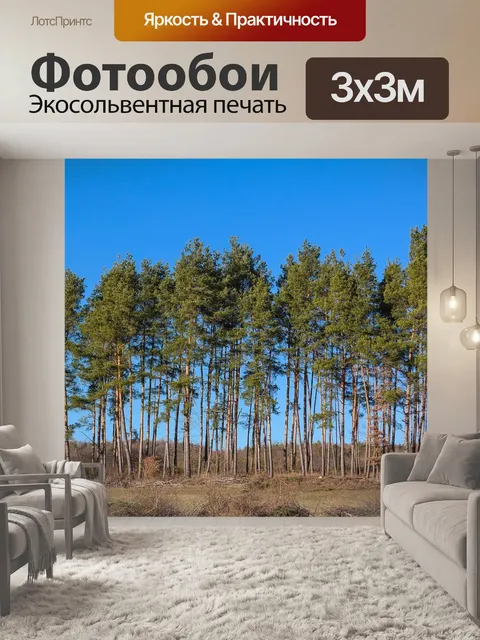 Фотообои Деревья