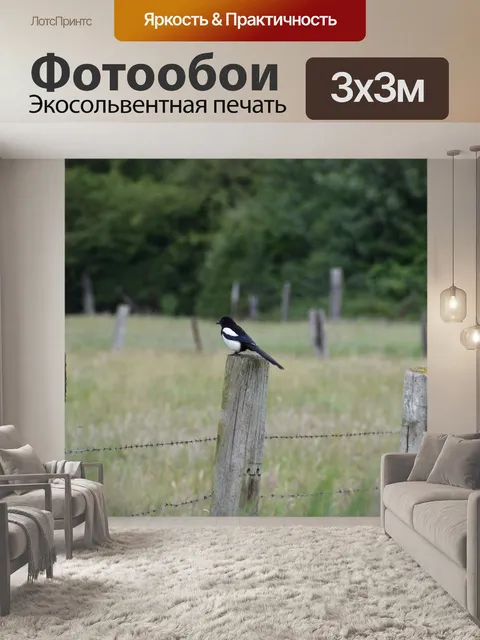 Фотообои Птица