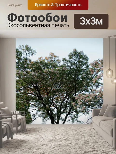 Фотообои Цветущая сирень деревьев