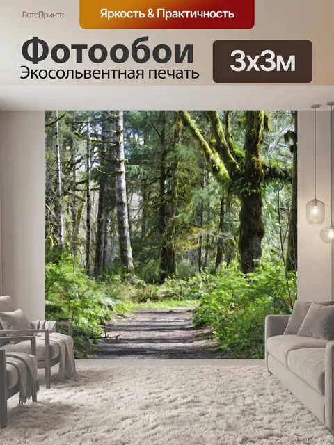 Фотообои Путь в лесу