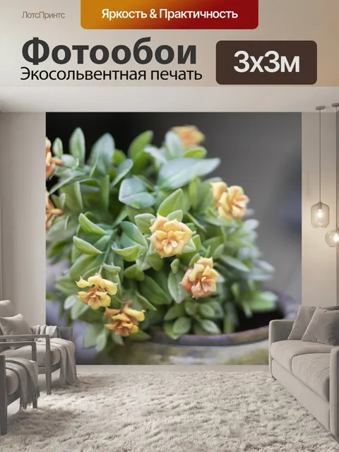 Фотообои Цветы