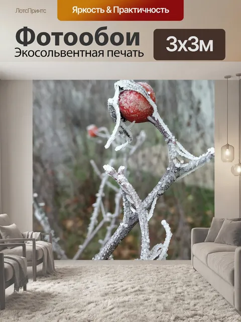Фотообои Розовый