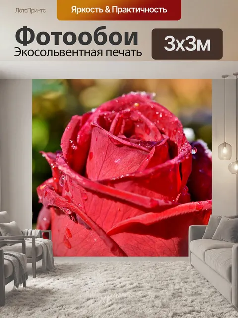 Фотообои Роза