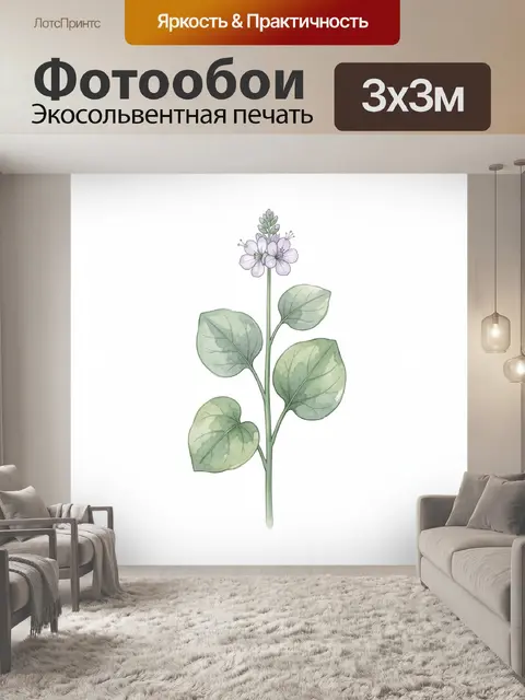 Фотообои Нежный цветок с зелеными листьями