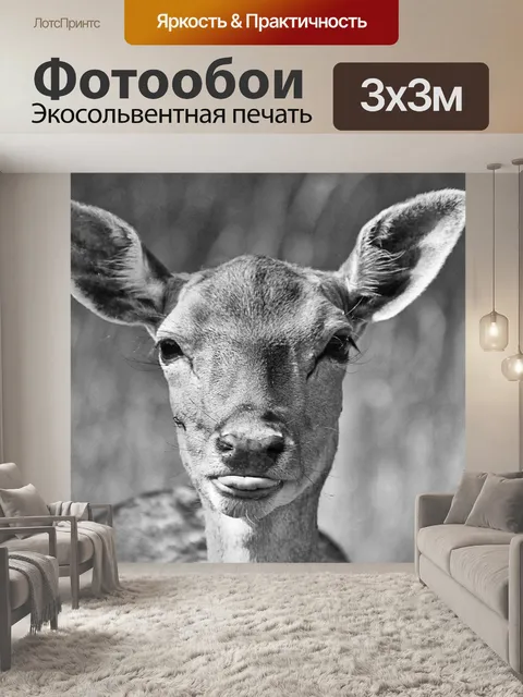 Фотообои Ретро