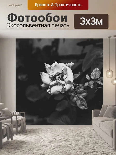Фотообои Цветок