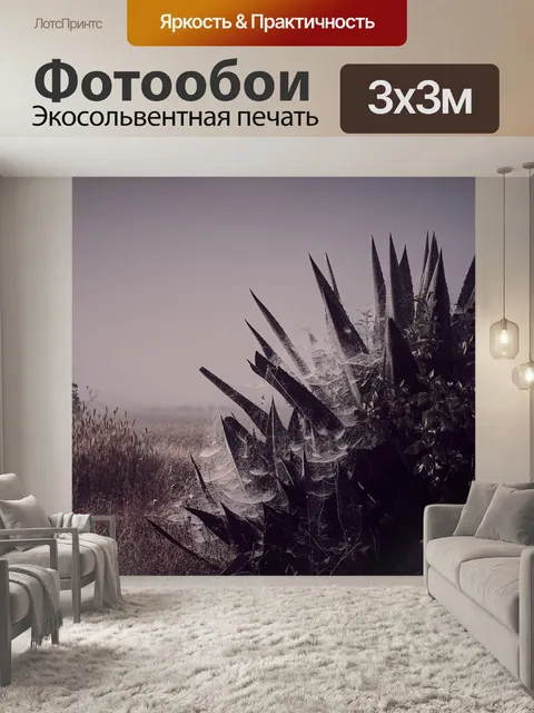 Фотообои Рассвет