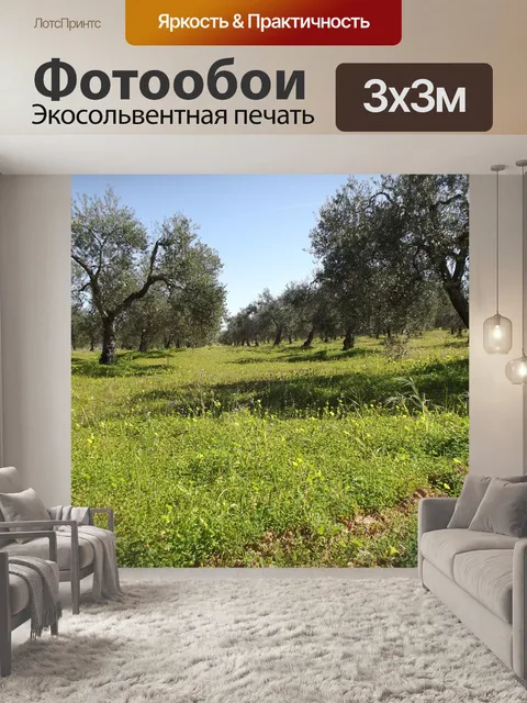 Фотообои Оливки