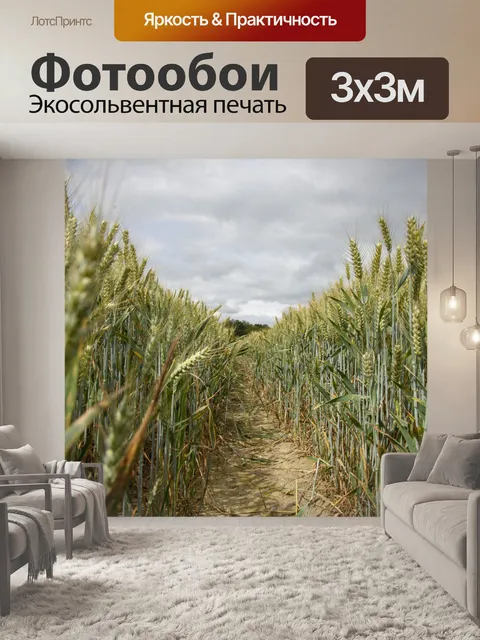 Фотообои Золотое пшеничное поле и солнечный день