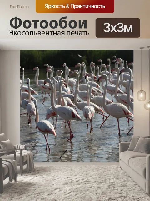 Фотообои Птицы