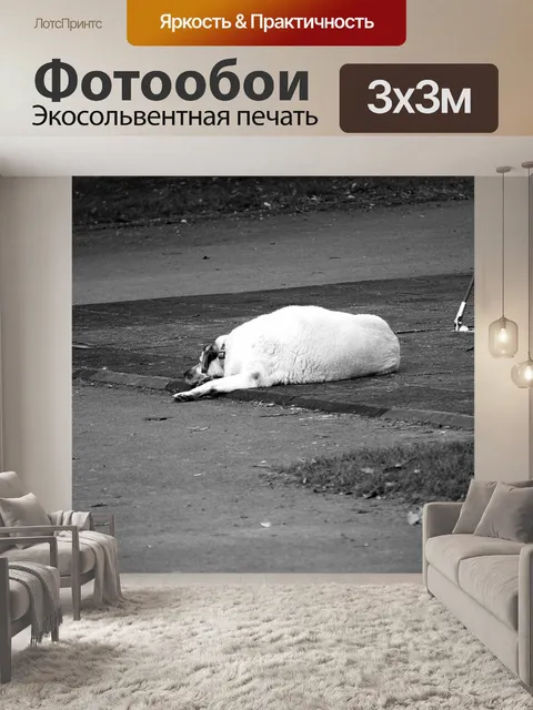 Фотообои Ворс собаки.
