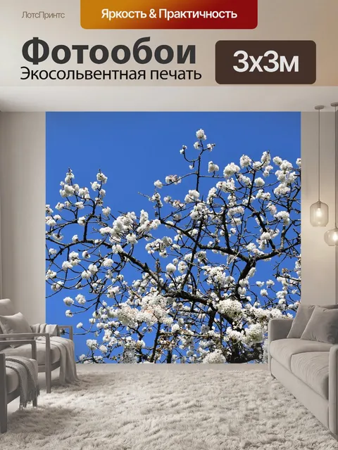 Фотообои Цветы