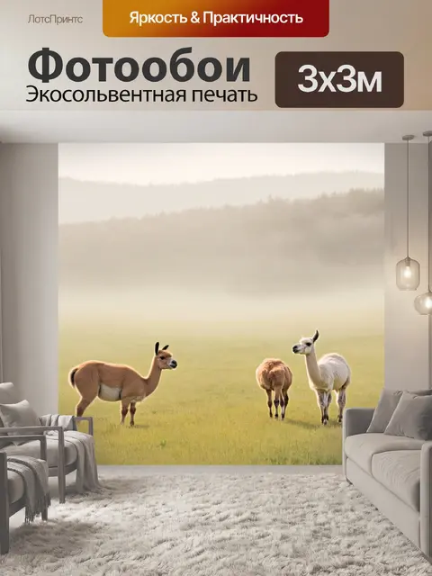 Фотообои в утреннем тумане на лужайке, где мирно пасутся викунья и лама