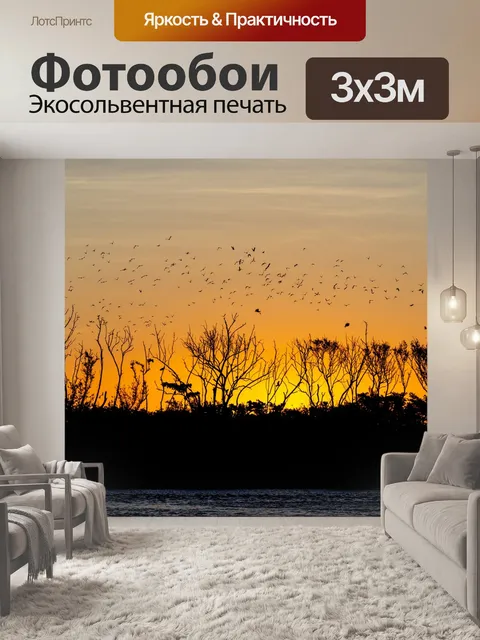 Фотообои Заход солнца