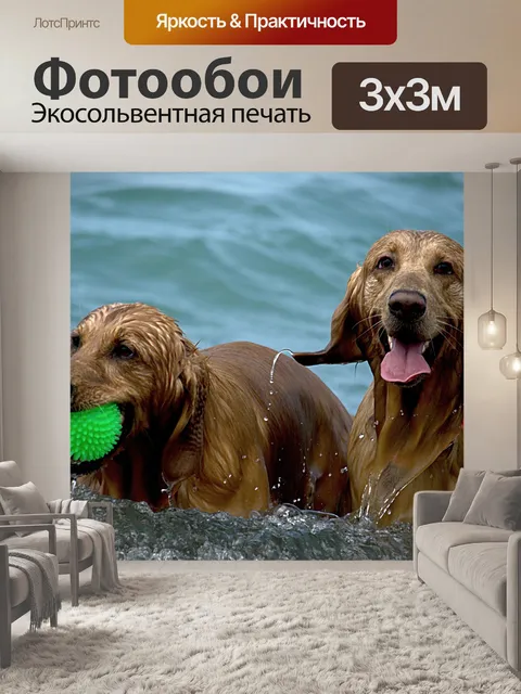 Фотообои Собаки