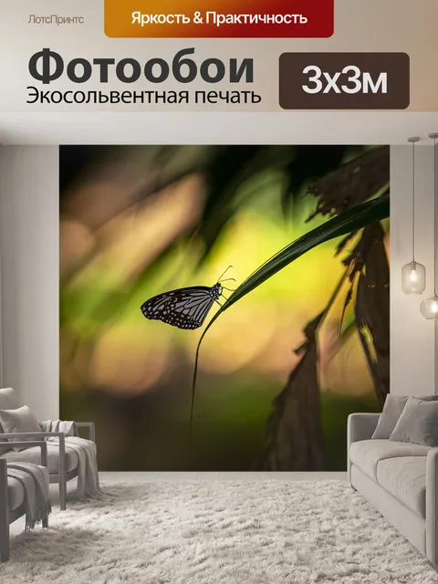 Фотообои Бабочка