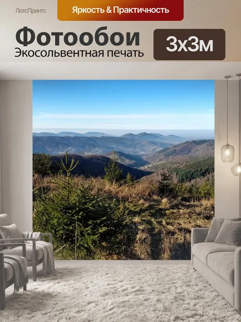 Фотообои Черный лес