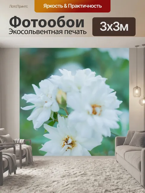 Фотообои Листья
