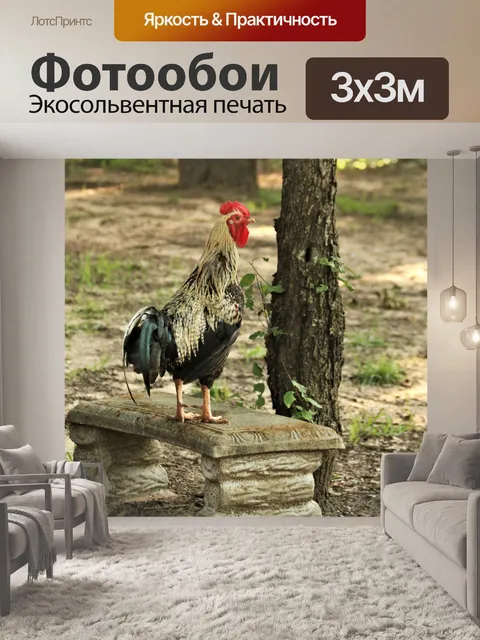 Фотообои Петух на скамейке