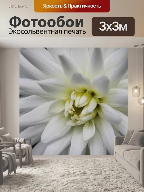 Фотообои Цветы