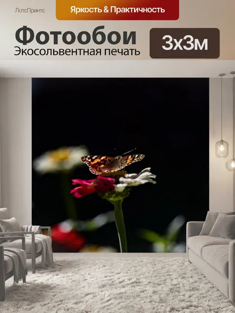 Фотообои Нарисованная Леди Бабочка