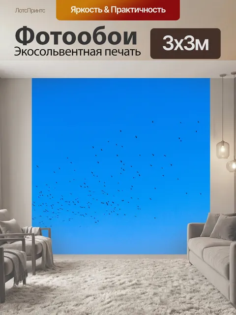 Фотообои Стая птиц
