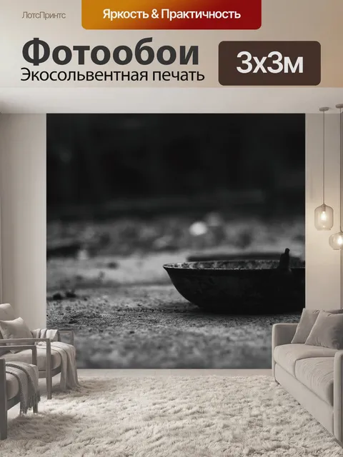 Фотообои Тарелка