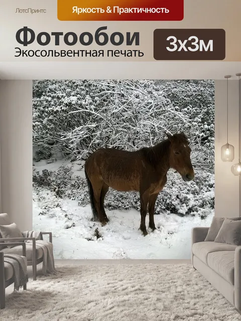Фотообои Лошадь
