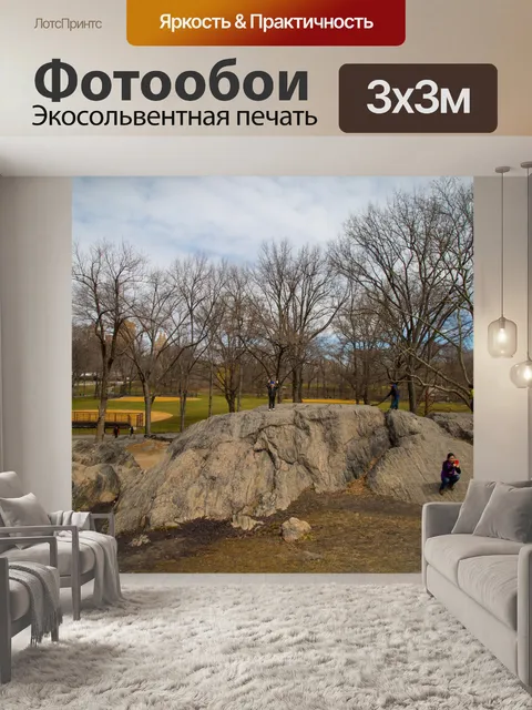 Фотообои Центральный парк, Нью-Йорк