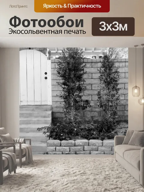 Фотообои Белый ворота