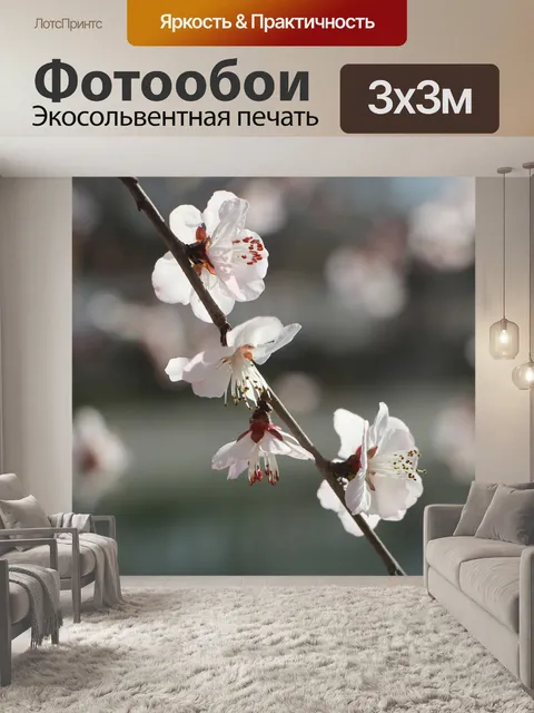 Фотообои Цветы