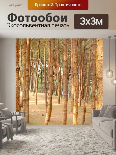 Фотообои Сосновый лес