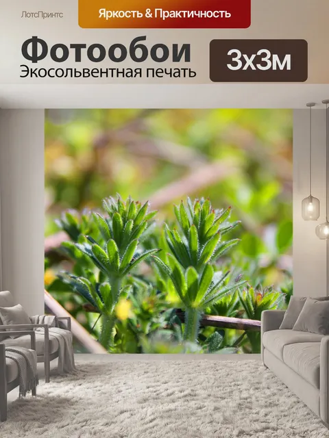 Фотообои Сад