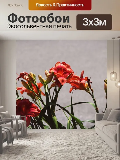 Фотообои Цветы