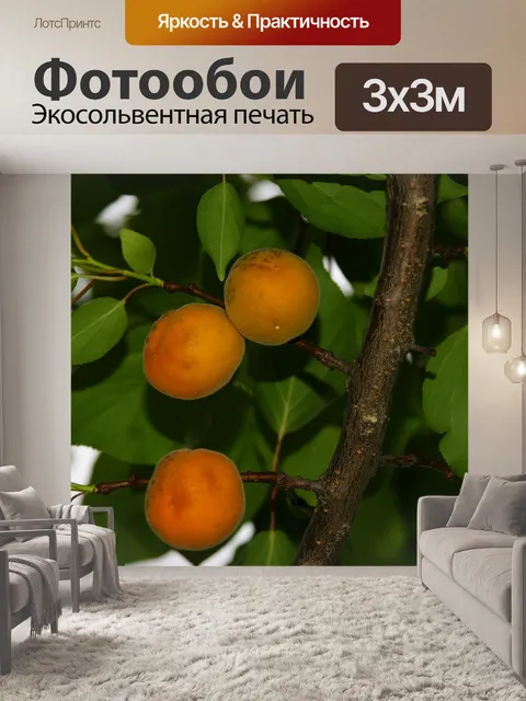 Фотообои Абрикос