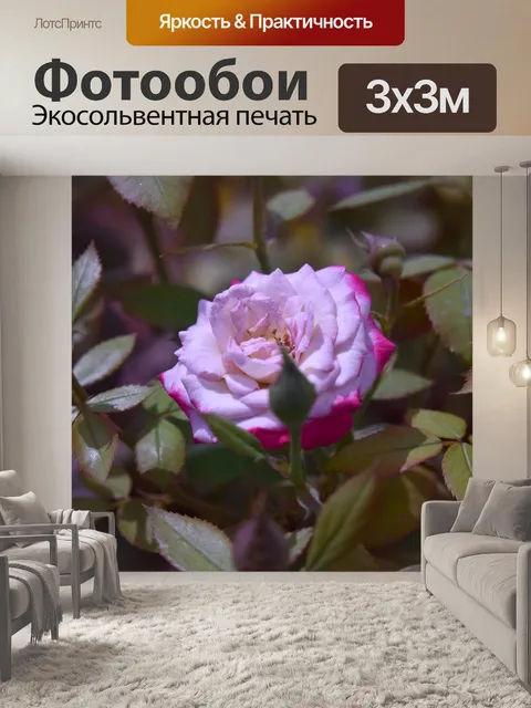 Фотообои Цветок и листва 7