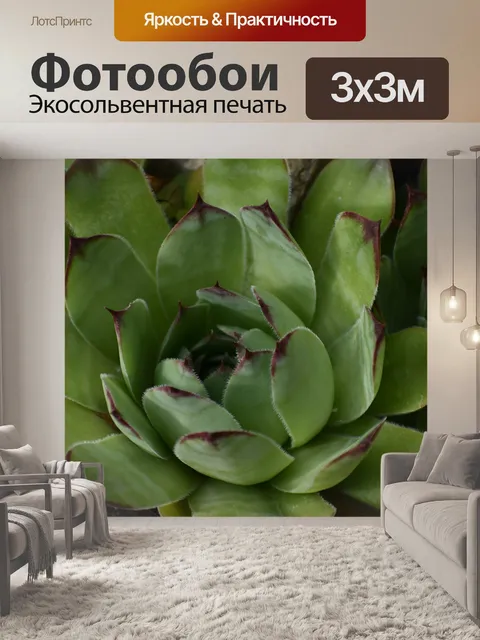 Фотообои Цветы