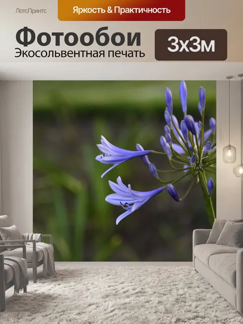 Фотообои Цветы