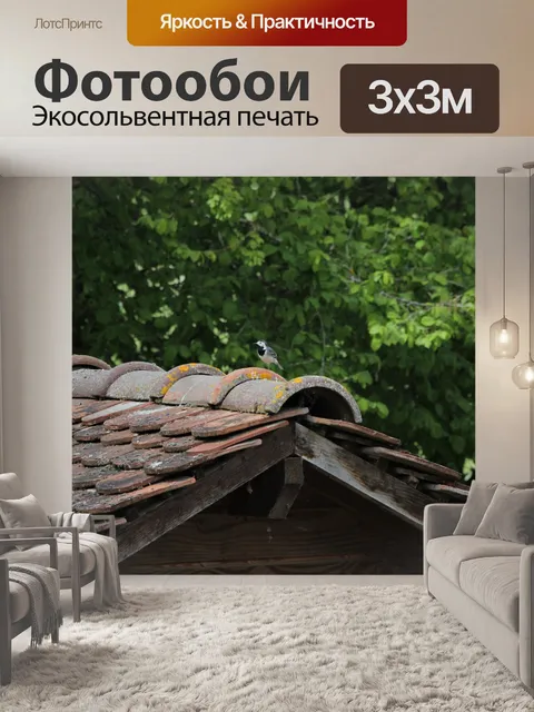 Фотообои Птица