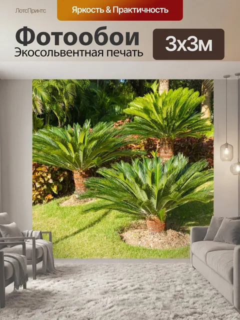 Фотообои Тропический парк
