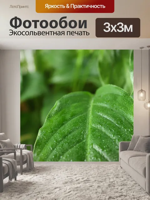 Фотообои Листья