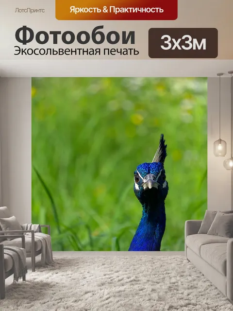 Фотообои Павлин