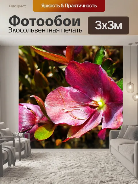 Фотообои Цветы