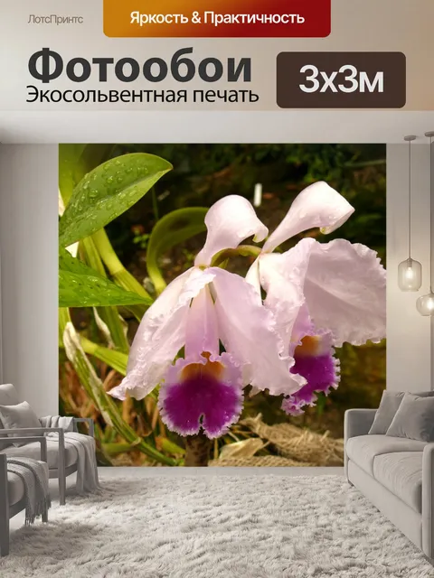 Фотообои Цветок